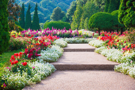 Marzo in Giardino: Preparati alla Primavera con il Porta Attrezzi Giardinaggio Organizzatore